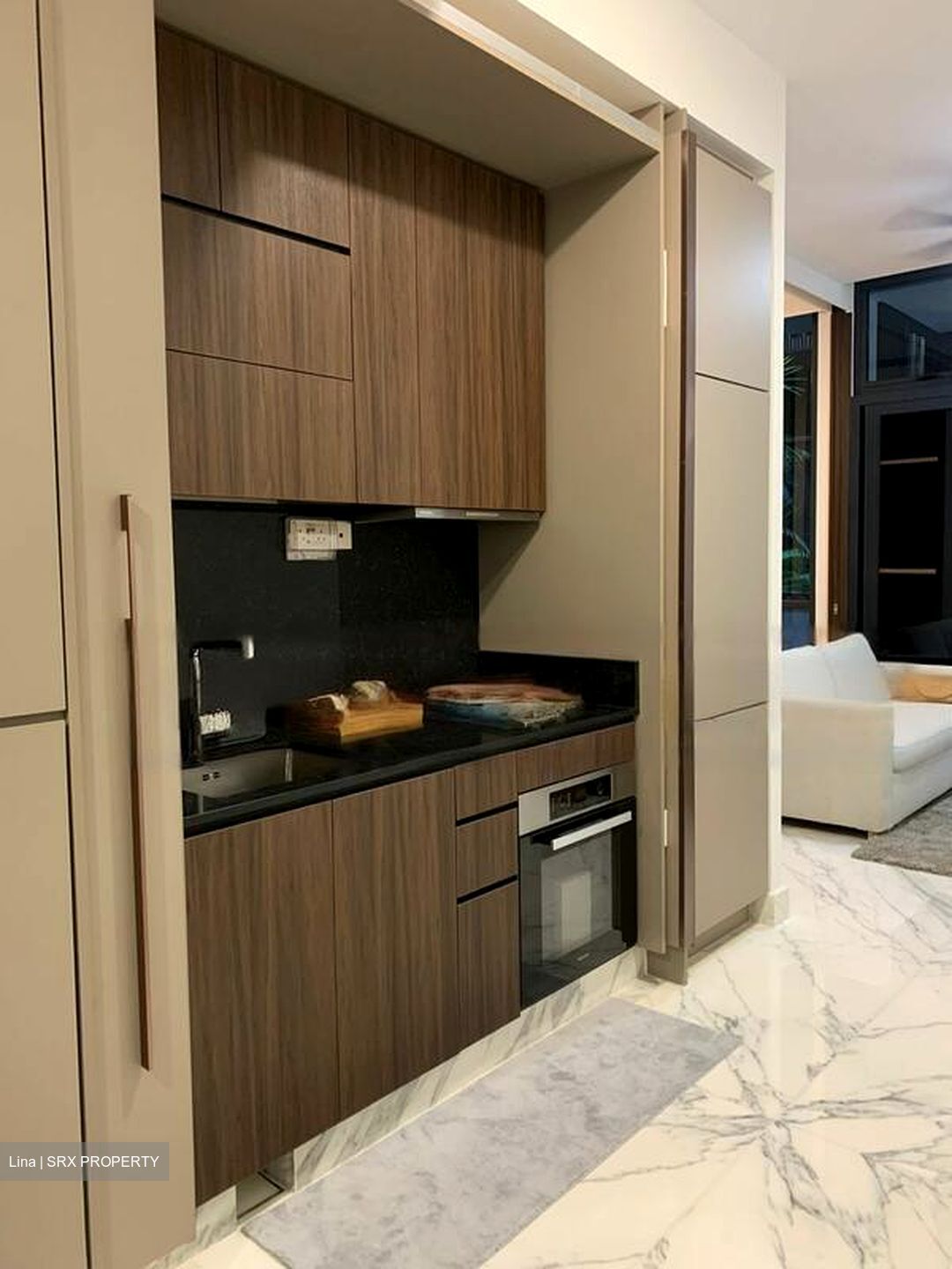 Van Holland (D10), Condominium #472899211